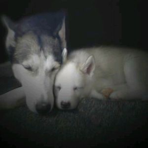 Meet your Posher, Gary